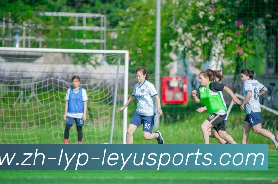 乐鱼官网全站App 乐鱼官网全站App